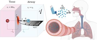 The potential of leveraging electrostatics for improved inhaled drug delivery to the lungs